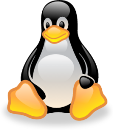 linux